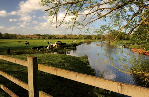 Rural tranquillity along the River Stour