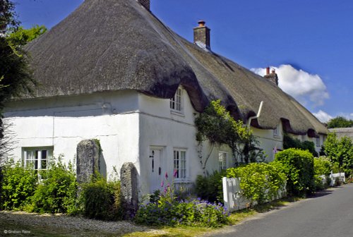 Briantspuddle, Dorset.