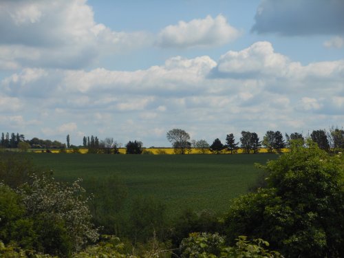 Fields around Wollaston, Northamptonshire