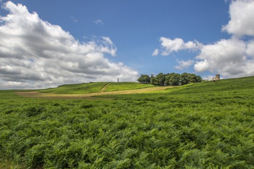 Bradgate park