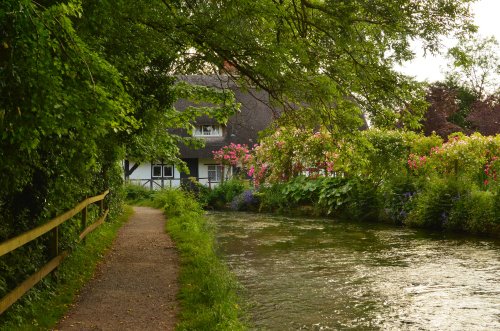River walk  New Alresford near Winchester