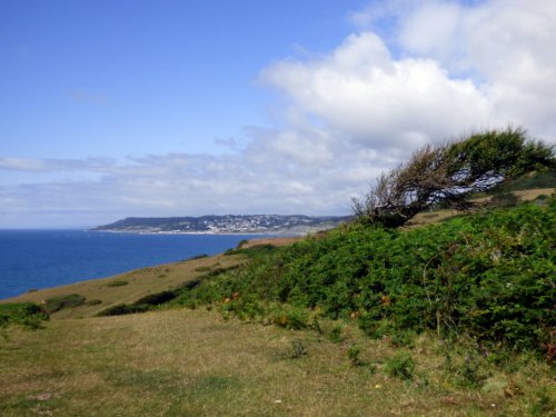 Charmouth