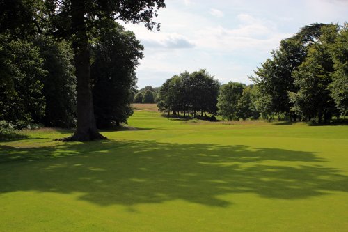 Parkland surrounding Goodwood House