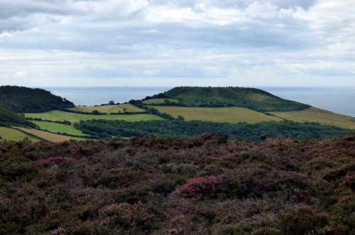 Hardown Hill