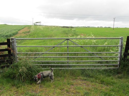 Farm Gate.