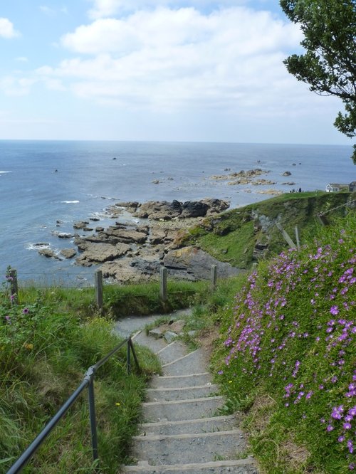 Stairs Down to the Lizard