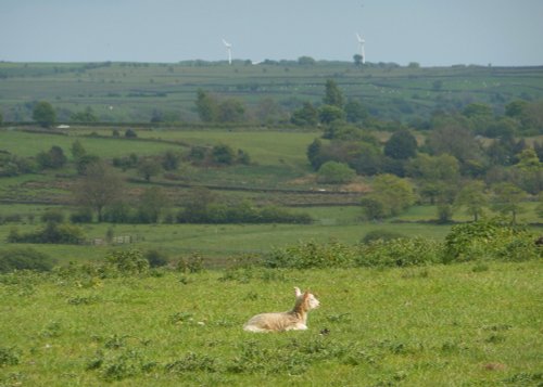 Leek, Staffordshire