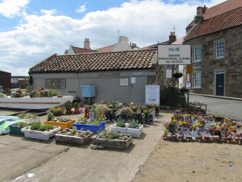 The Wellie Boot Garden