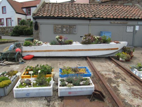 The Wellie Boot Garden.