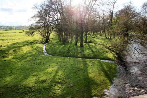 Pastoral evening by the river in Masham