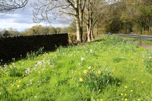 Lovely spring  near lake Windermere