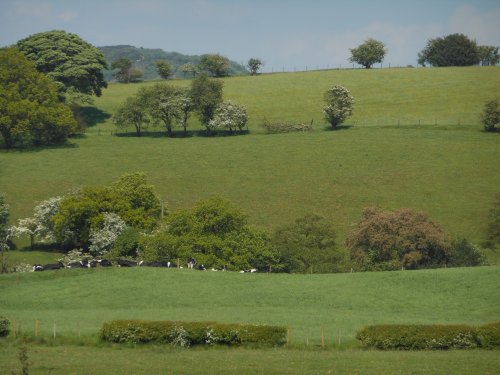 Near Leek, Staffordshire