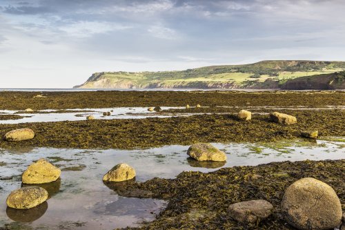 Ravenscar cliffs