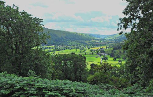Wharfedale from Todds wood