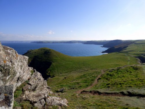 Pentire head