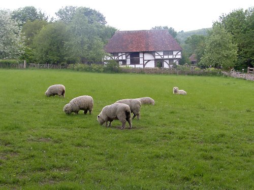 Weald & Downland Museum