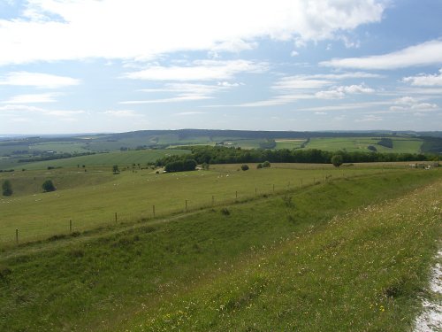 The South Downs of West Sussex