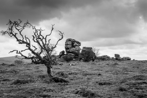 Vixen Tor