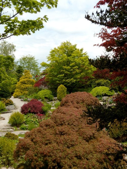 Sizergh Castle gardens