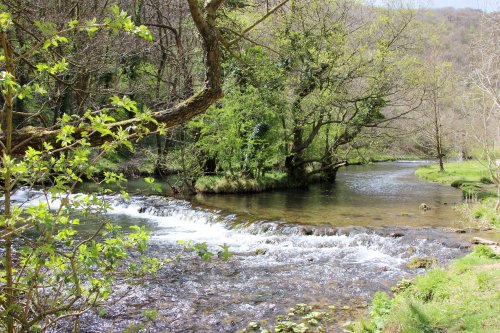 Pastoral trail in Dovedale Ilam