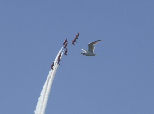 Flypast at Lymington, Hampshire