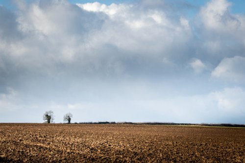 Arable field to the west of Thorpe Salvin