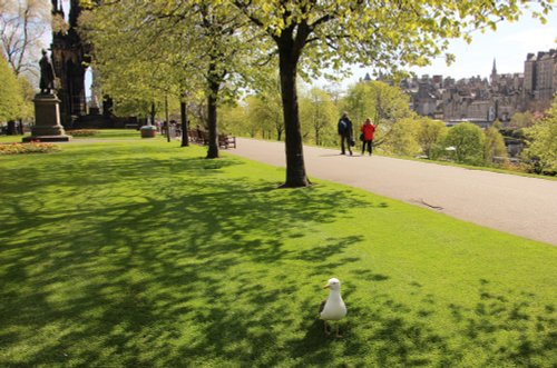 Spring in Edinburgh Scotland