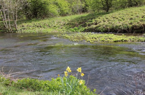 Springtime in english countrysaide river Wye Monsall Head