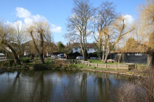 Ruislip duck pond