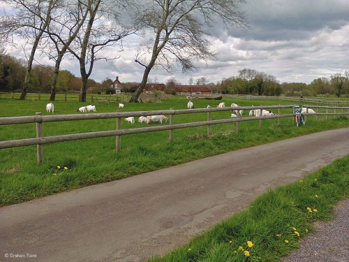 Stour Valley Spring Shillingstone