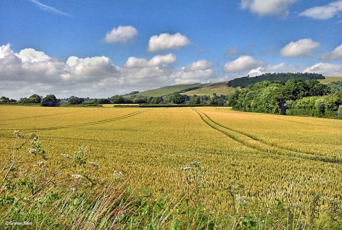 The North Dorset Trailway