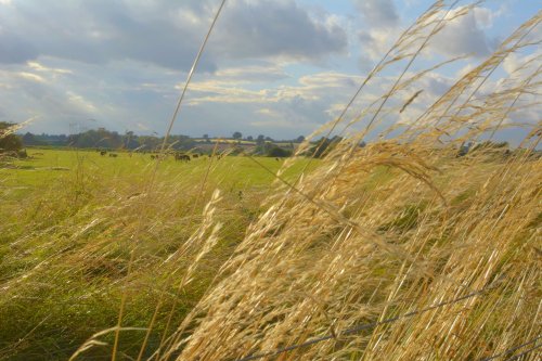 From a Footpath, Somerton, Oxfordshire