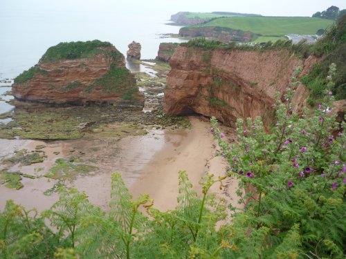 View of Ladram Bay from SW Coastal Path west of Sidmouth