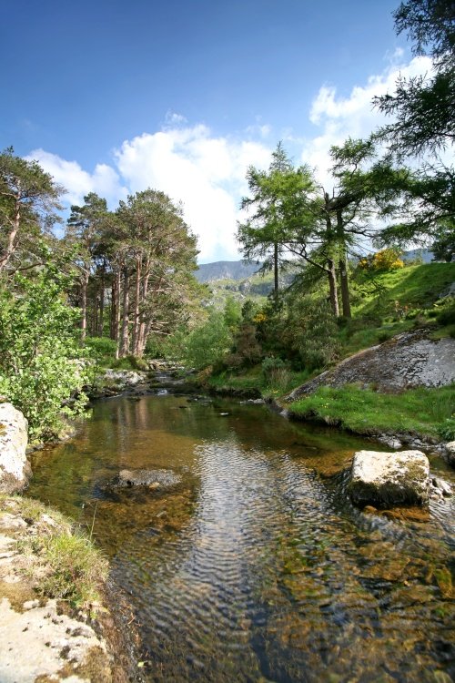 River Ogwen