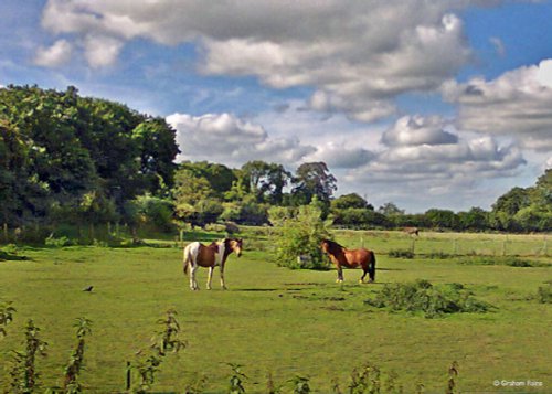 Durweston, Dorset.