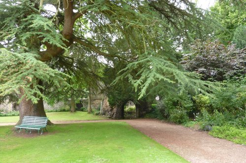 Walsingham Abbey (4)