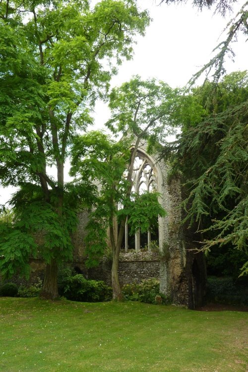Walsingham Abbey (10)