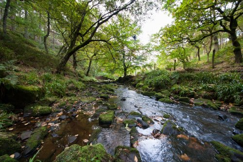 Black Brook