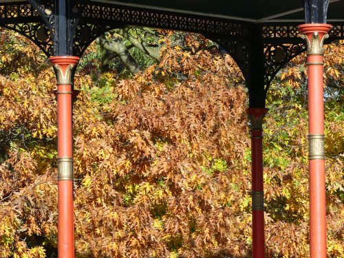 Greenwich Park in Autumn