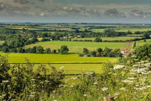 View From Red Hill