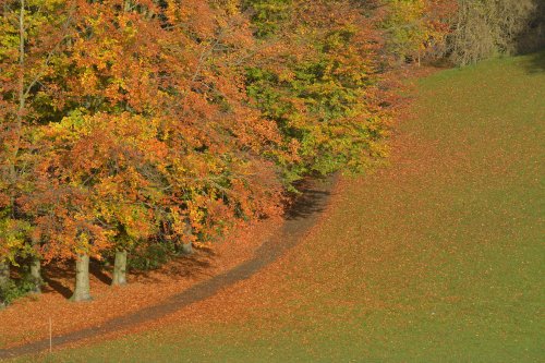 Brough Park in Leek, Staffordshire