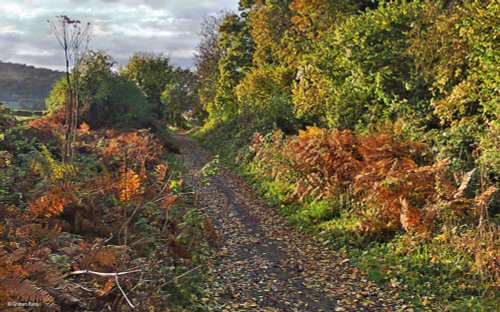 Stour Valley Autumn