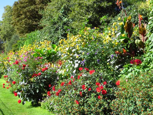 Loveley  flowers on a sunny day at  St James's Park  London