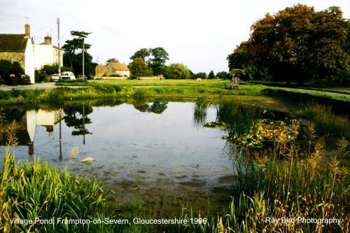 The Village Pond, Frampton-on-Severn, Gloucestershire 1996