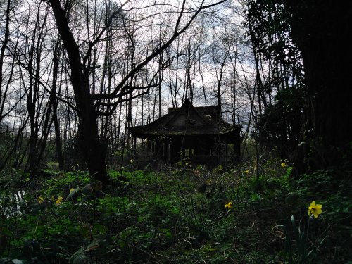 Decayed & Creepy in the woods - Lynford Arboretum