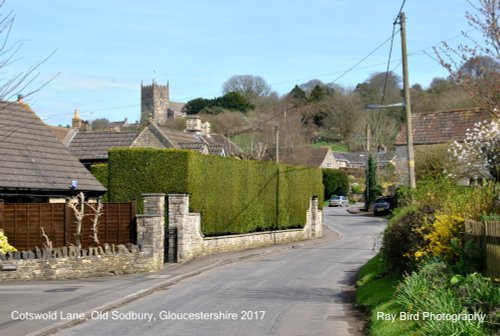 Cotswold Lane, Old Sodbury, Gloucestershire 2017