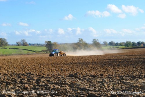 Farming, nr Sopworth, Wiltshire 2014