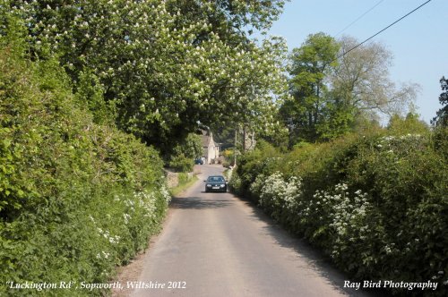 Luckington Road, Sopworth, Wiltshire 2012