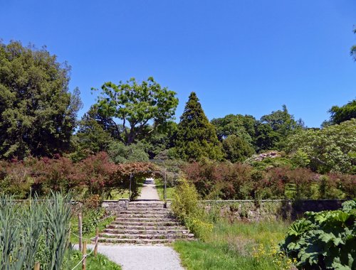 Walled Garden