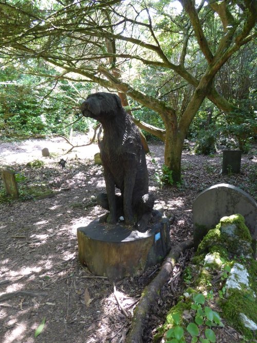 Dog Cementery